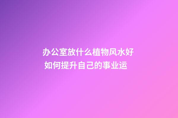办公室放什么植物风水好  如何提升自己的事业运